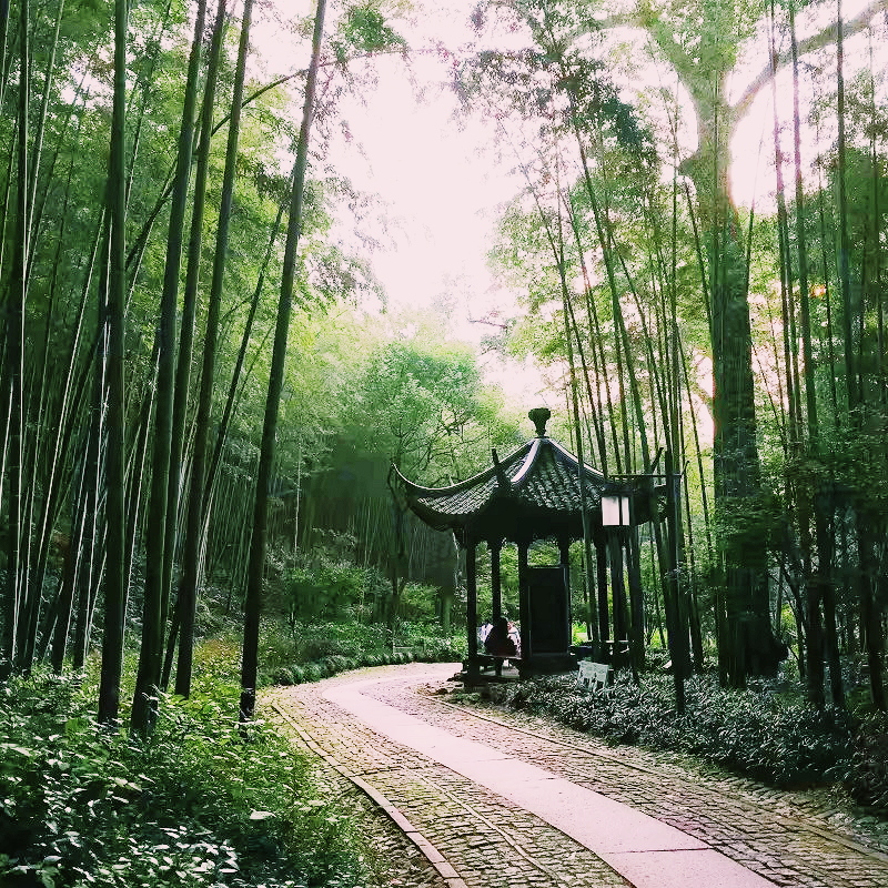 杭州旅游必打卡，3个小众景点，去过才知风景如画是这样