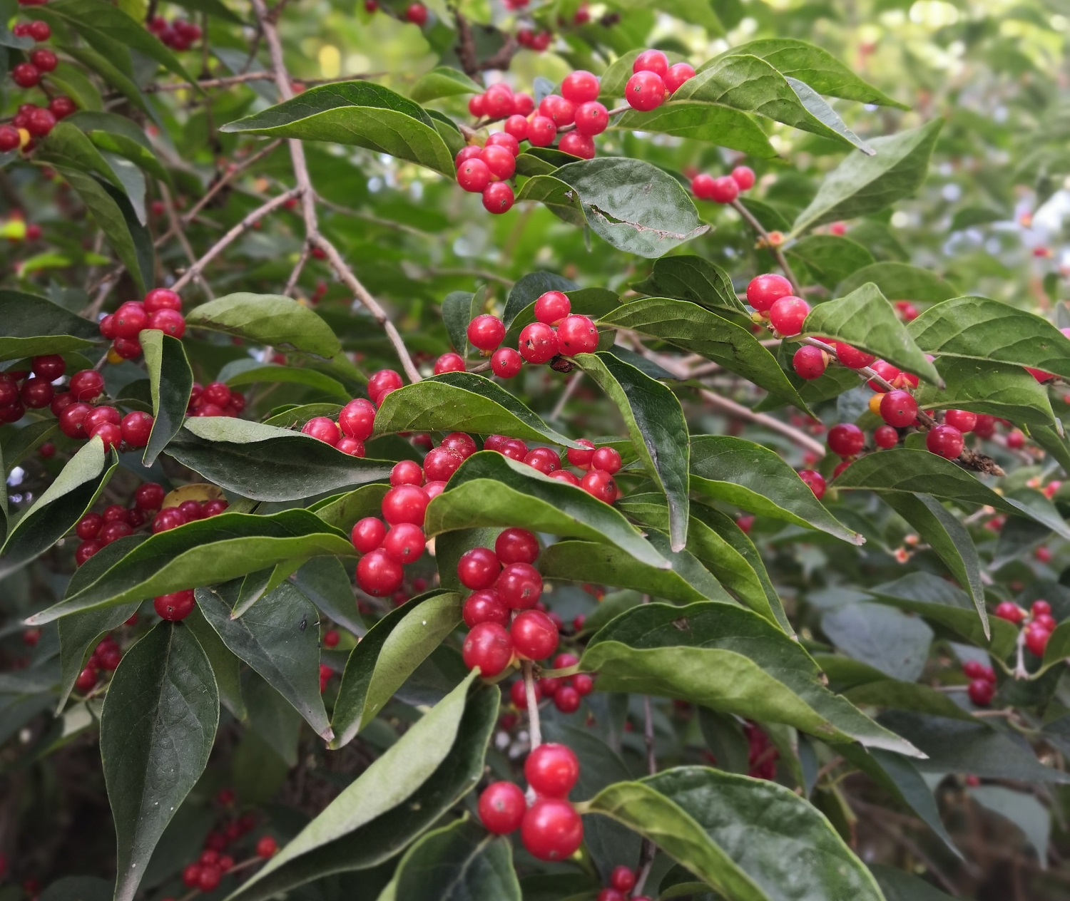 华中师范大学经济与工商管理学院（华南理工大学）