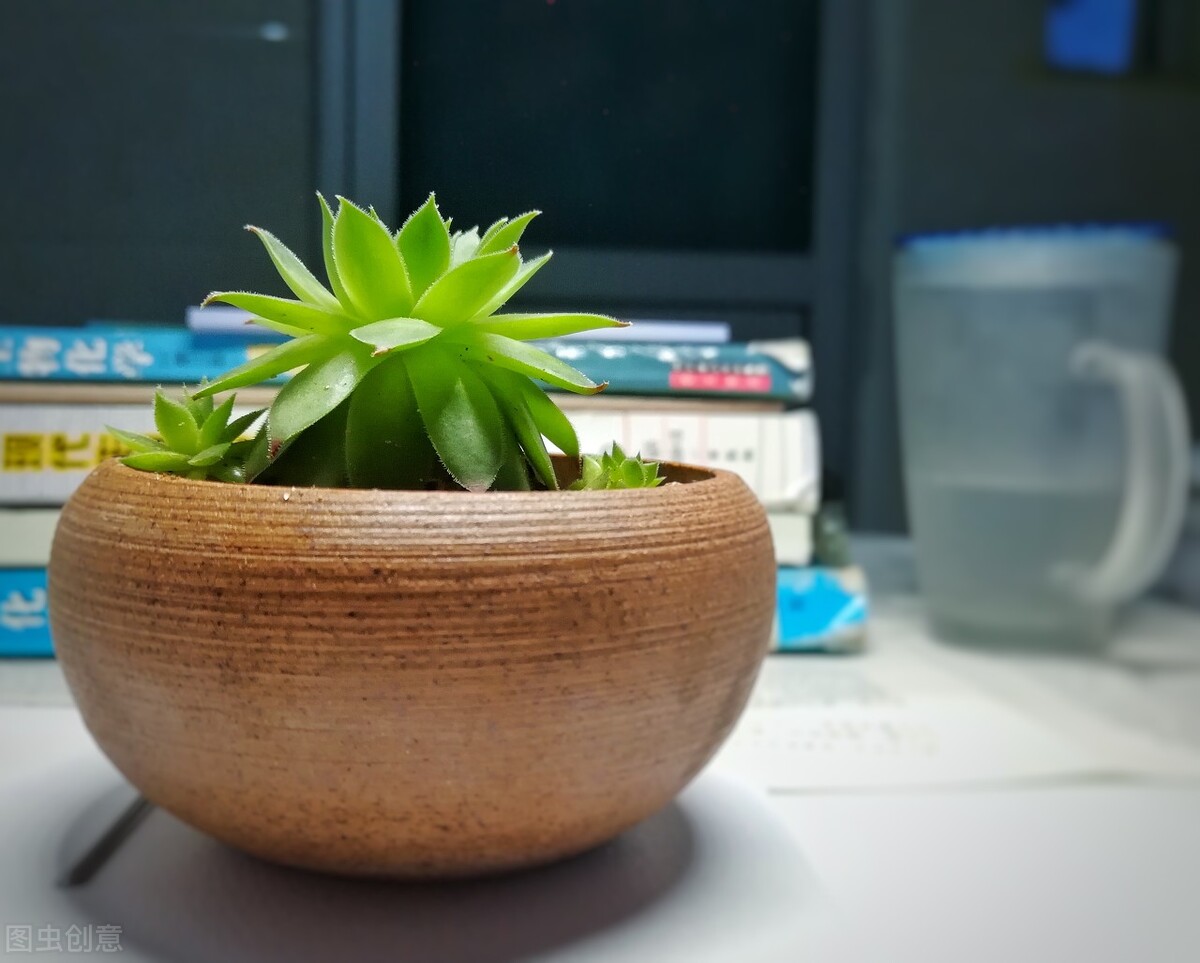 河南省500多分能够上哪些大学？这4所大学比较不错，性价比高