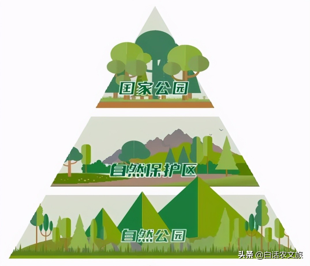 自然保护区(自然保护区可以分为三个功能区)-骁龙网