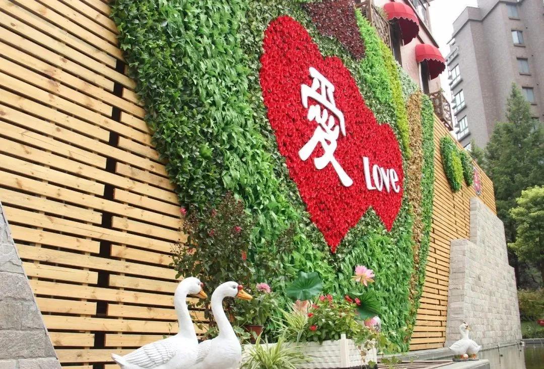 11所优质学校坐镇，1条马路，撑起徐汇教育半边天