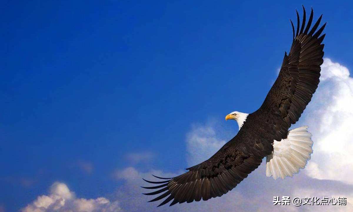 李白生平最狂的一首诗，一开篇就极具震撼力，令人读来直呼过瘾