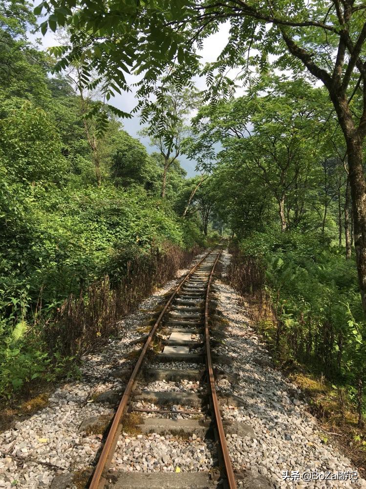 到四川阿坝旅游不能错过的19个景点，你去过几个？最爱哪个景点