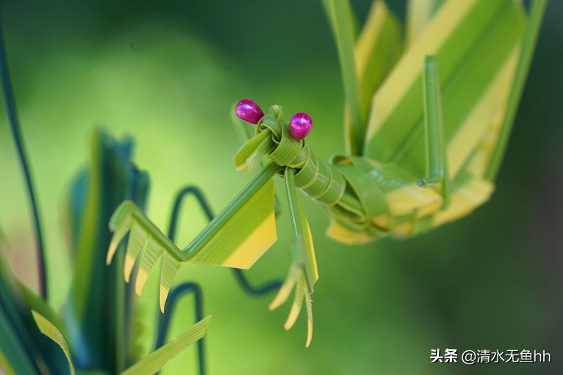 ﻿雨生百谷 春深处，太行水镇 竞芳菲