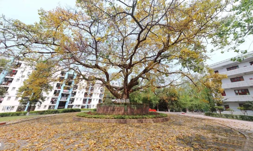 期待！宜宾职业技术学院要搬啦，拟选址南溪...