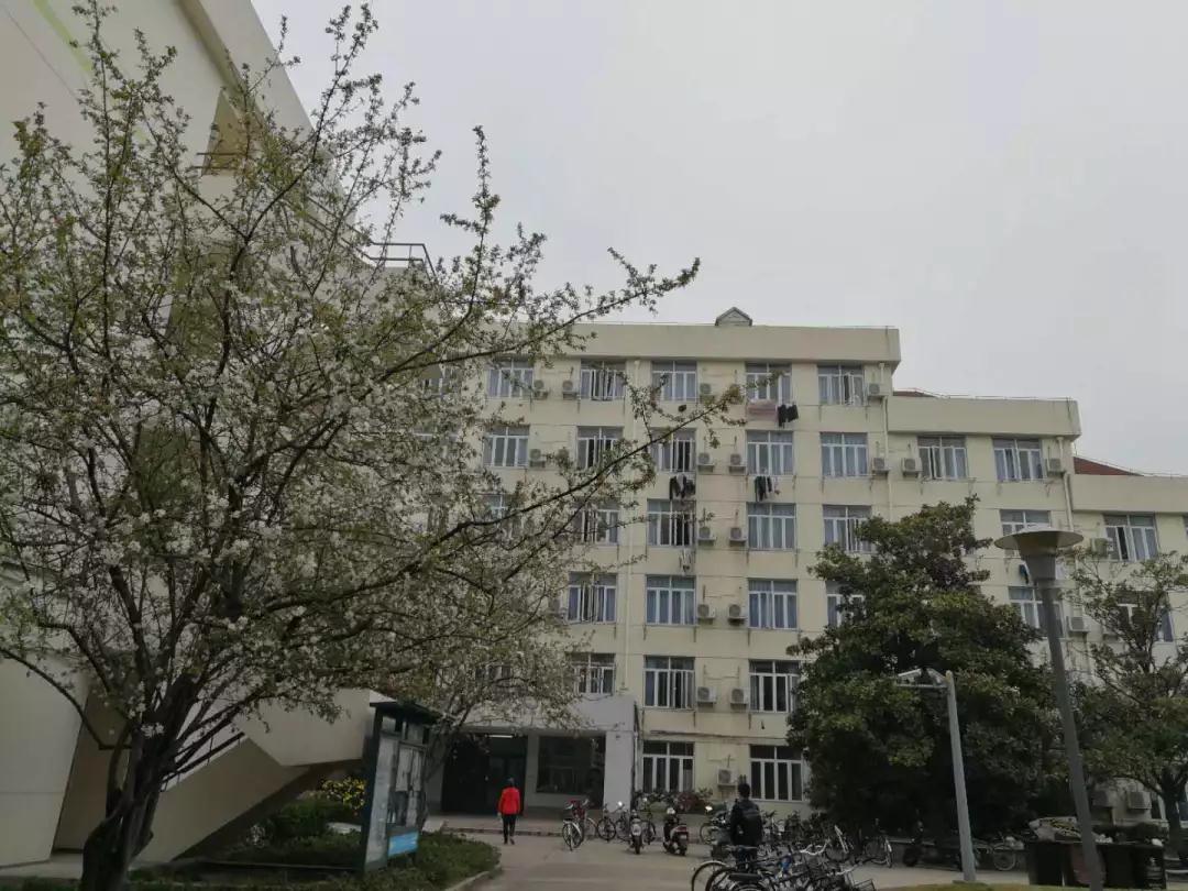 考研院校说 | 同济大学：同舟共济，同济古训！