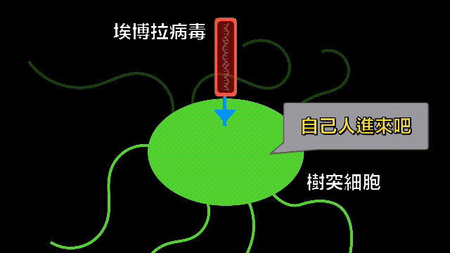 埃博拉：人类的诅咒，你的身体如何对抗它，它到底有多恐怖