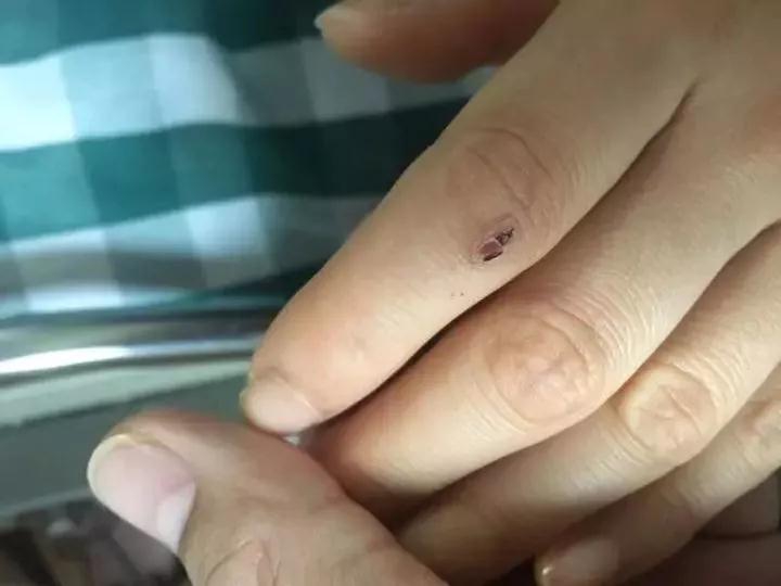 好危险！海南一民宅惊现剧毒银环蛇！毒性是眼镜王蛇的10倍