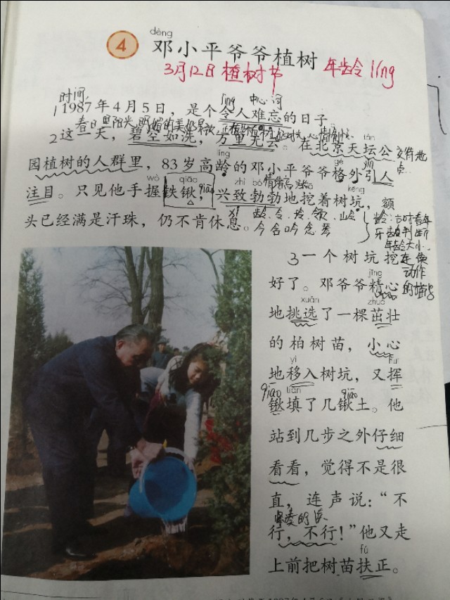 二年级语文下册第四课《邓小平爷爷植树》课文分析