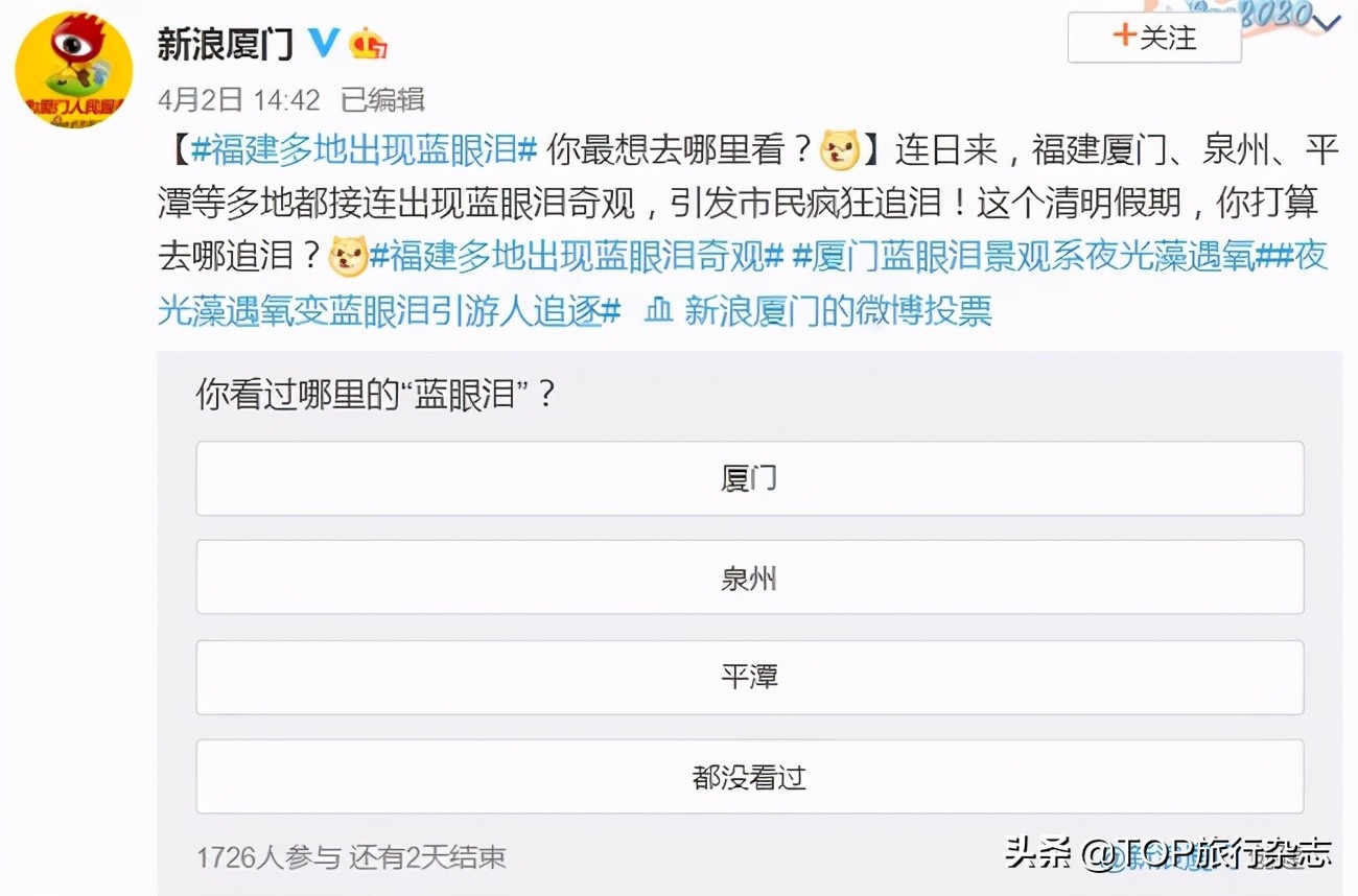 “蓝眼泪”迎来最好观赏季，长沙过去6小时，去奔赴一场蓝色梦幻海