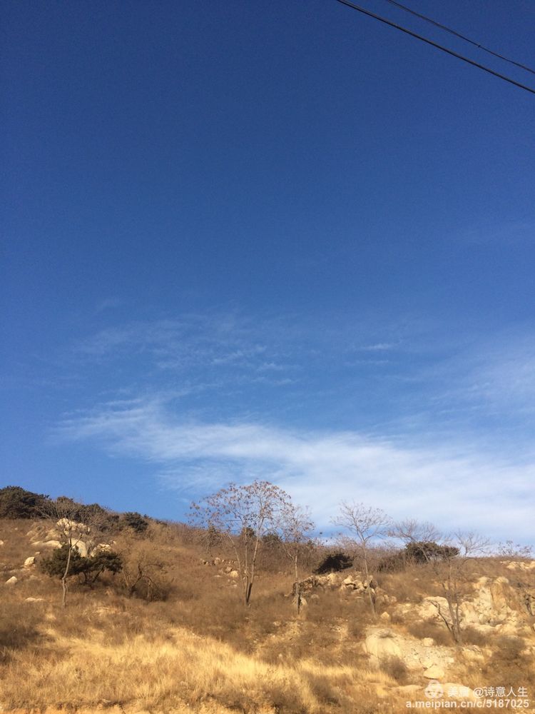 冬日蓝天也醉人
