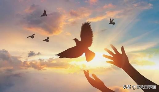 赢家与输家：河南高校新一轮博士点评价