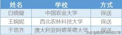 保研清北，国外offer拿到手软，这些学霸宿舍全国点赞！