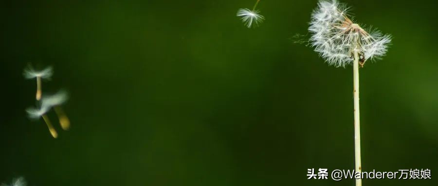 最大的谎言就是学历不重要！马云二本毕业，可马云的公司只要985