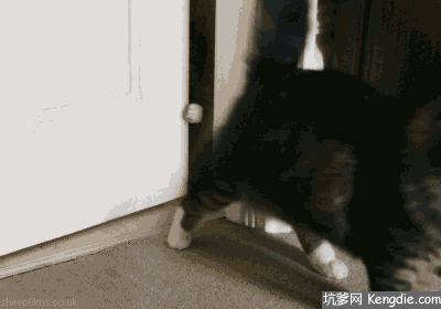 2020版最新法官、检察官表情大全！哈哈哈