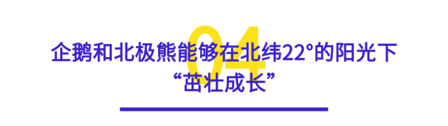 盘点《深圳脚步》中的十大金句，哪一句最戳你？