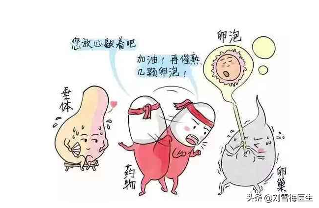 排卵试纸怎么用？看这一篇就够了