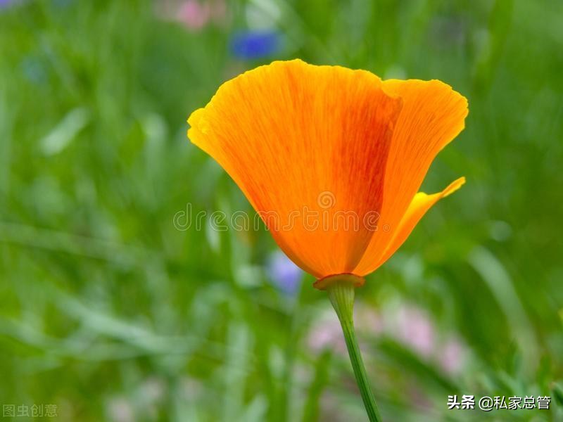 珍惜当下，活在当下，如此安好