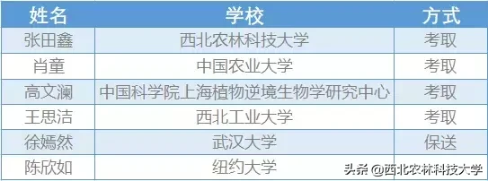 保研清北，国外offer拿到手软，这些学霸宿舍全国点赞！