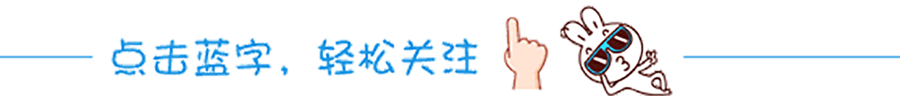 小猪为什么不踢世界杯(致敬！小猪宣布将退役，曾助德国捧大力神杯，还解决了德国腰无力)