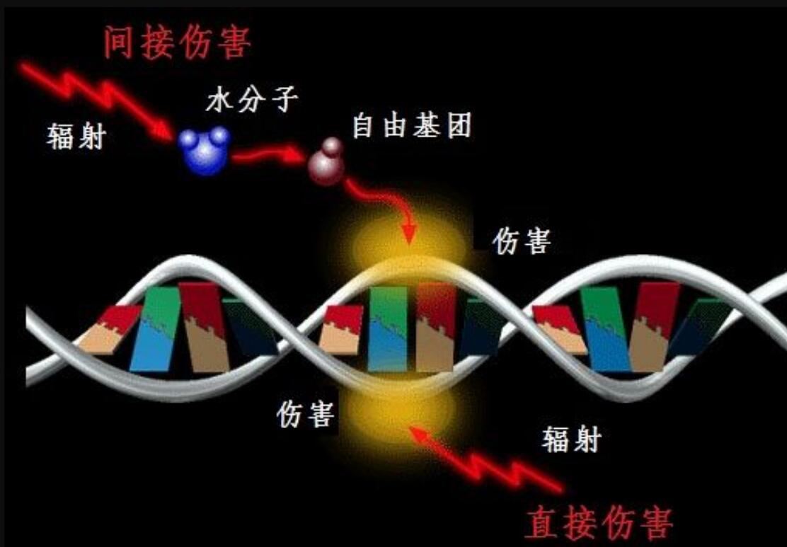 原子弹爆炸半衰期长达数万年，为啥广岛和长崎现在就可以居住了？