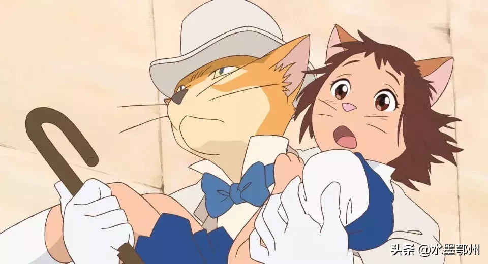 刷完100部“猫片”,发现你们对喵星人的偏见竟如此之大
