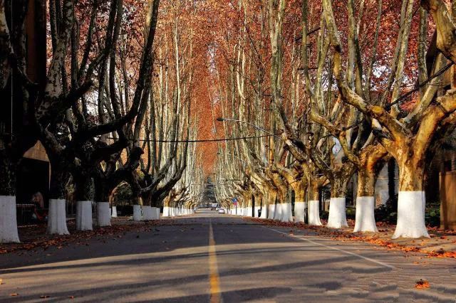 招生啦！西安交通大学2019年博士研究生章程公布