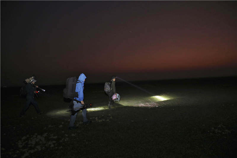 全球约3500只白鹤，98%都会在鄱阳湖过冬，白鹤是如何从西伯利亚飞越五千公里到鄱阳湖的？