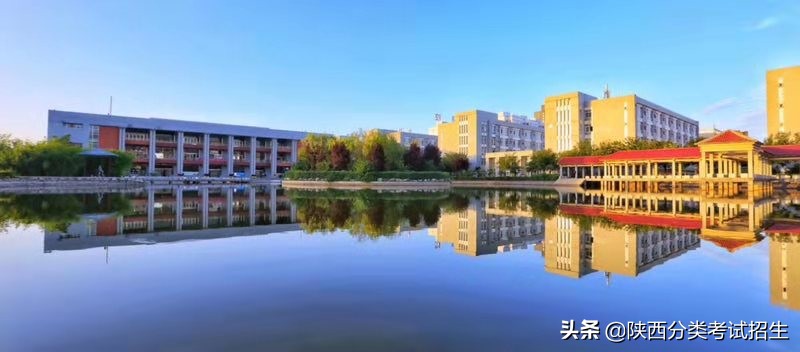 渭南职业技术学院2020年示范高职院校单独考试招生章程