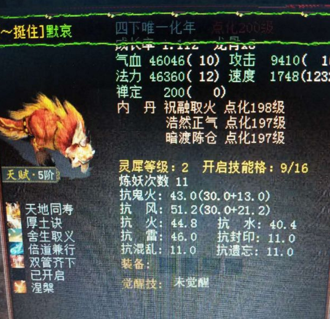 【寵物宅設計情報分享】大話西遊2土豪玩家重修神獸年19次 想要得到化無真的難