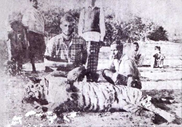 目睹父亲被咬死后，瘦弱的他拿起猎枪，一生杀死61头吃人虎