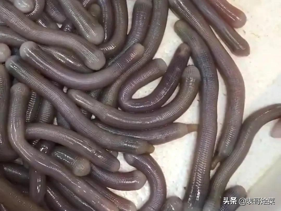 网友评出“最恐怖”3道广东美食,忍了蚯蚓,毒蝎子不能忍