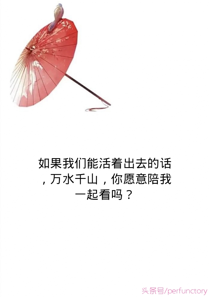 《狐妖小红娘》经典语录：你最喜欢哪句？哪一句最扎心？