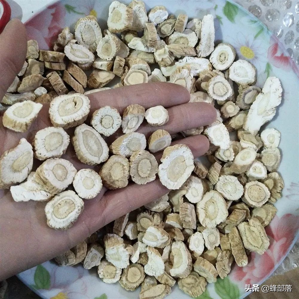 什么藥材好種植,什么藥材好種植又賺錢