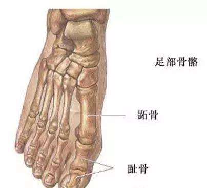 正说缠足一千年:三寸金莲如何从"贵族范儿",变成了情色风