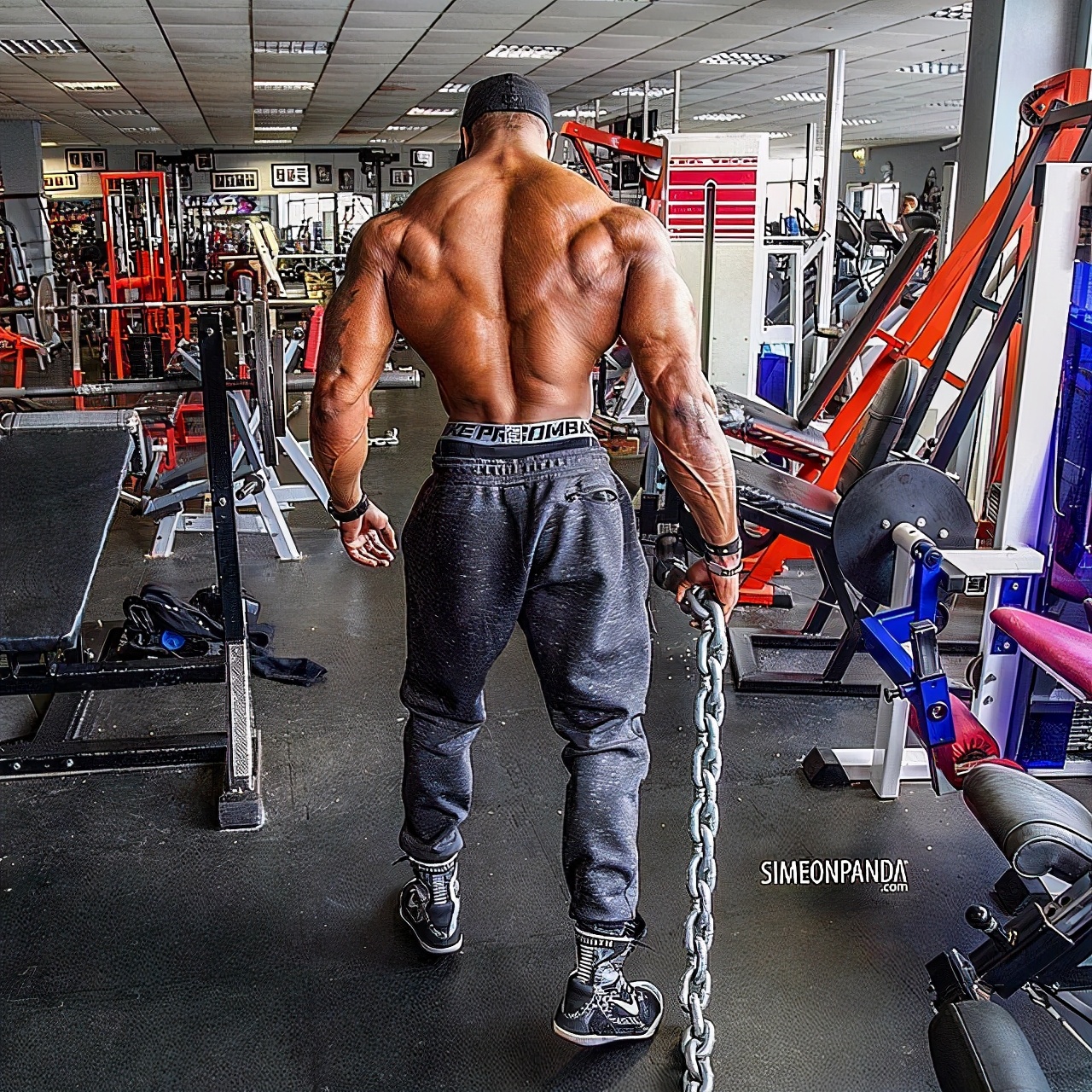 高位下拉这项动作看上去简单，实际上不注重细节是没有任何效果的