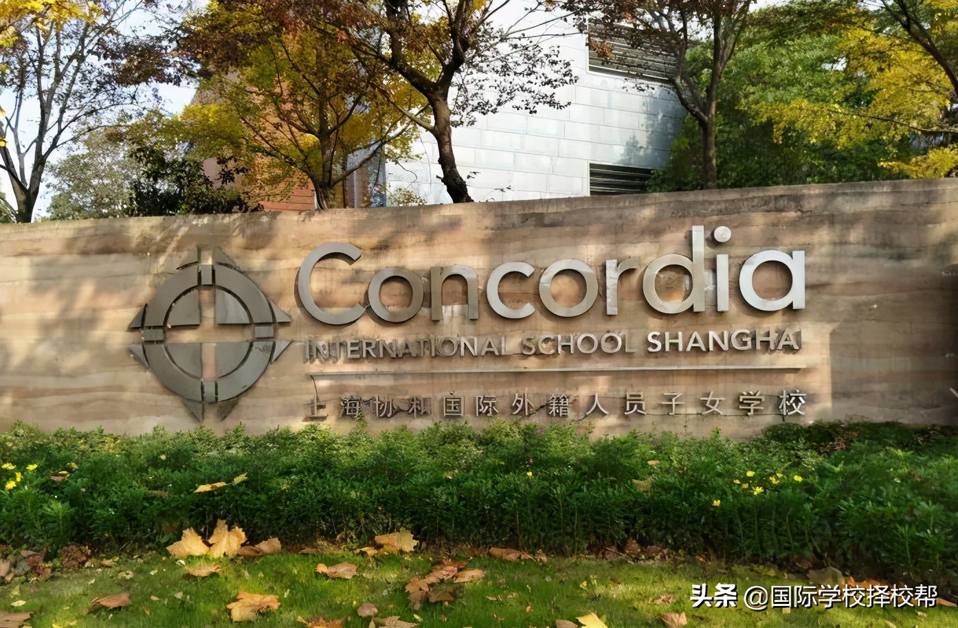 广受星二代追捧的国际学校动辄学费一年好几十万，究竟好在哪？