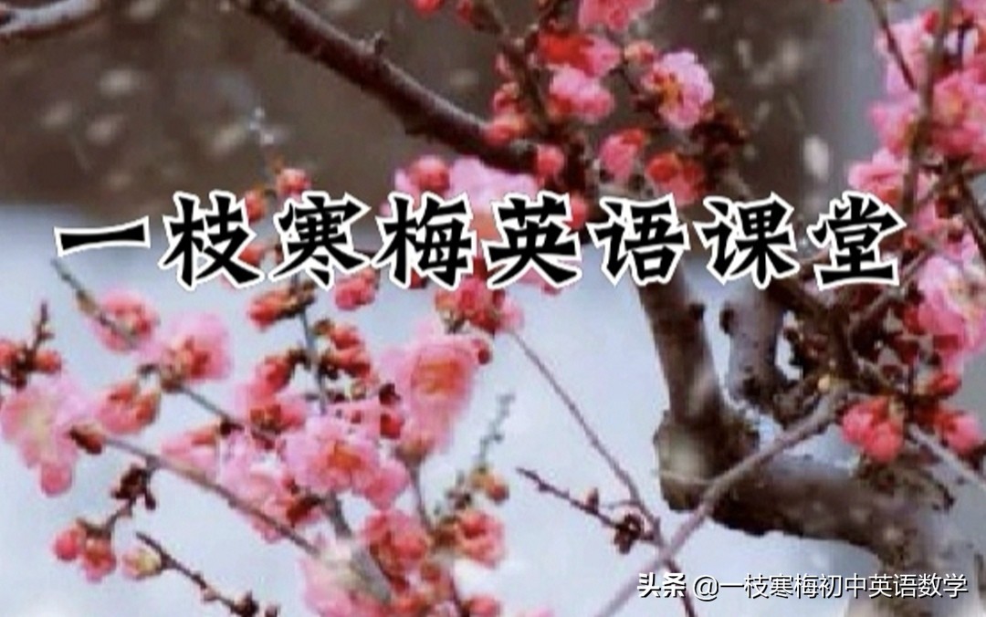 仁爱版英语七年级词汇never的正确读音及用法解析