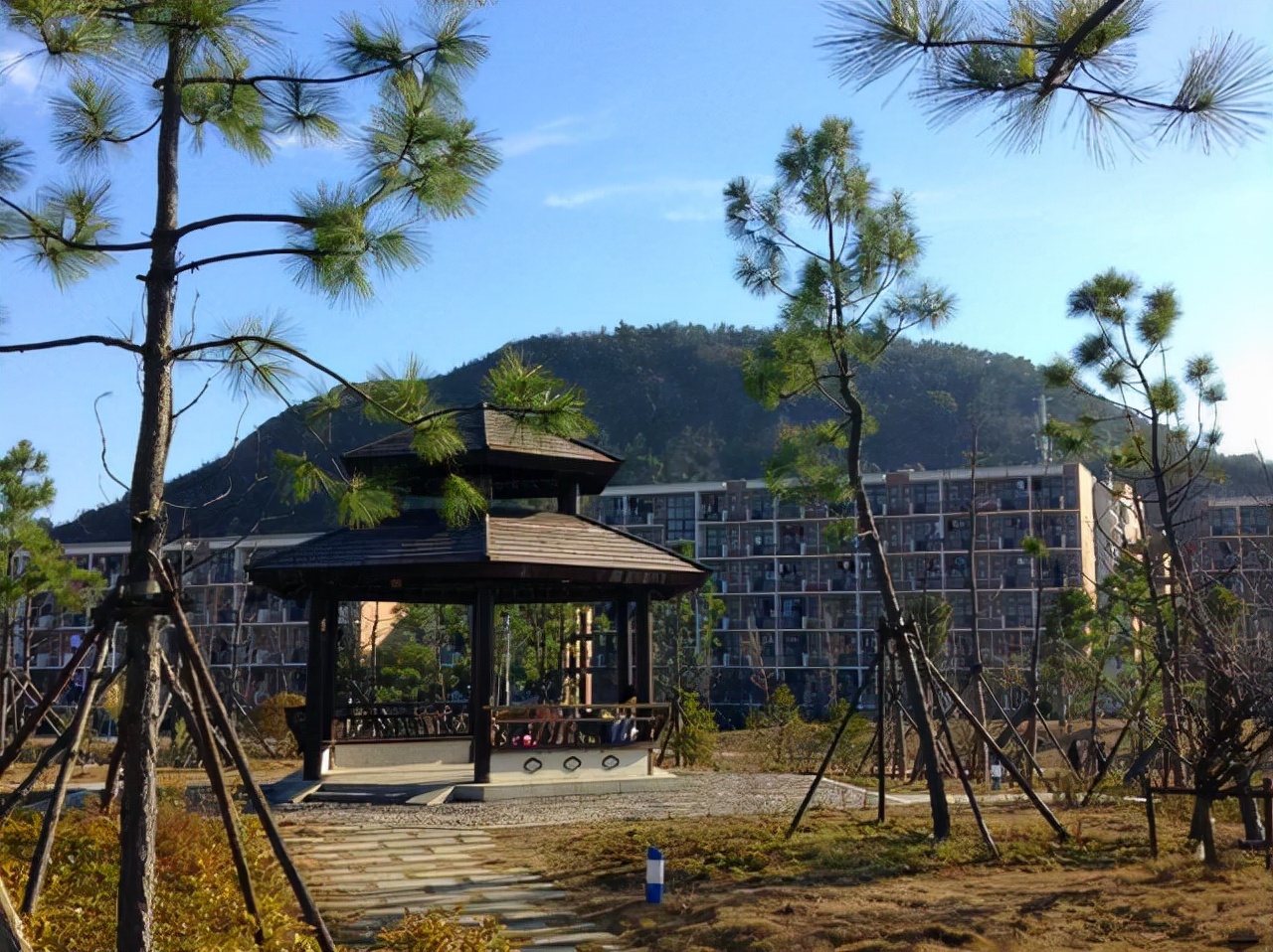 官宣！浙江这所学院将迎来大突破，目标一流大学，本地考生有福了