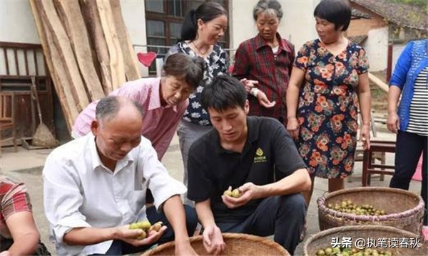 耶鲁大学高材生秦玥飞，学成回国当“村官”，一心为民却备受指责