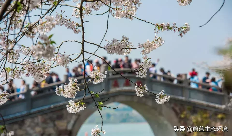 清明为什么要祭祖？