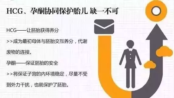 关于HCG你要知道的,都在这了!