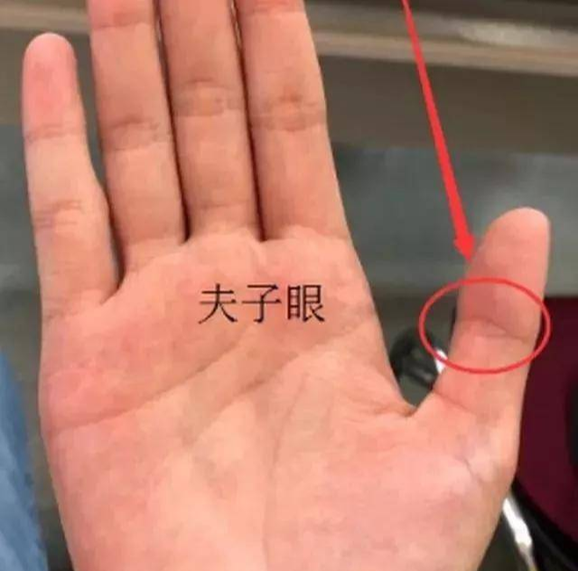 男人身价上亿的手相 拇指有夫子眼_达一风水网