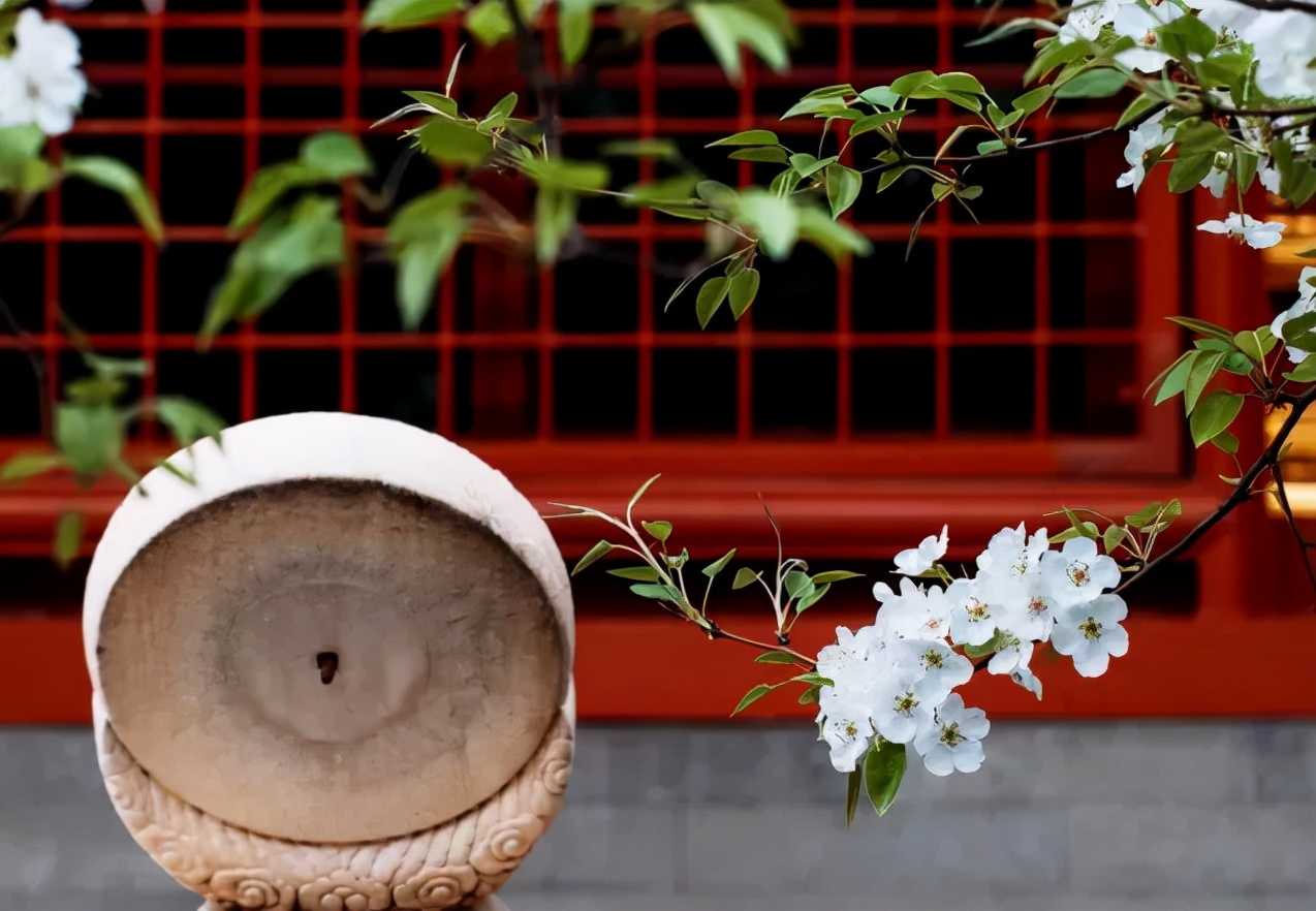 火爆！这一热门职业每年上万人“争抢”，国内已有985高校开设相关学科！