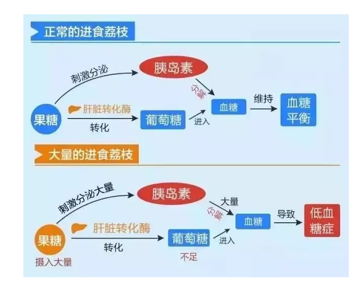 荔枝吃太多会得“荔枝病”？专家：每天最好不超过10颗