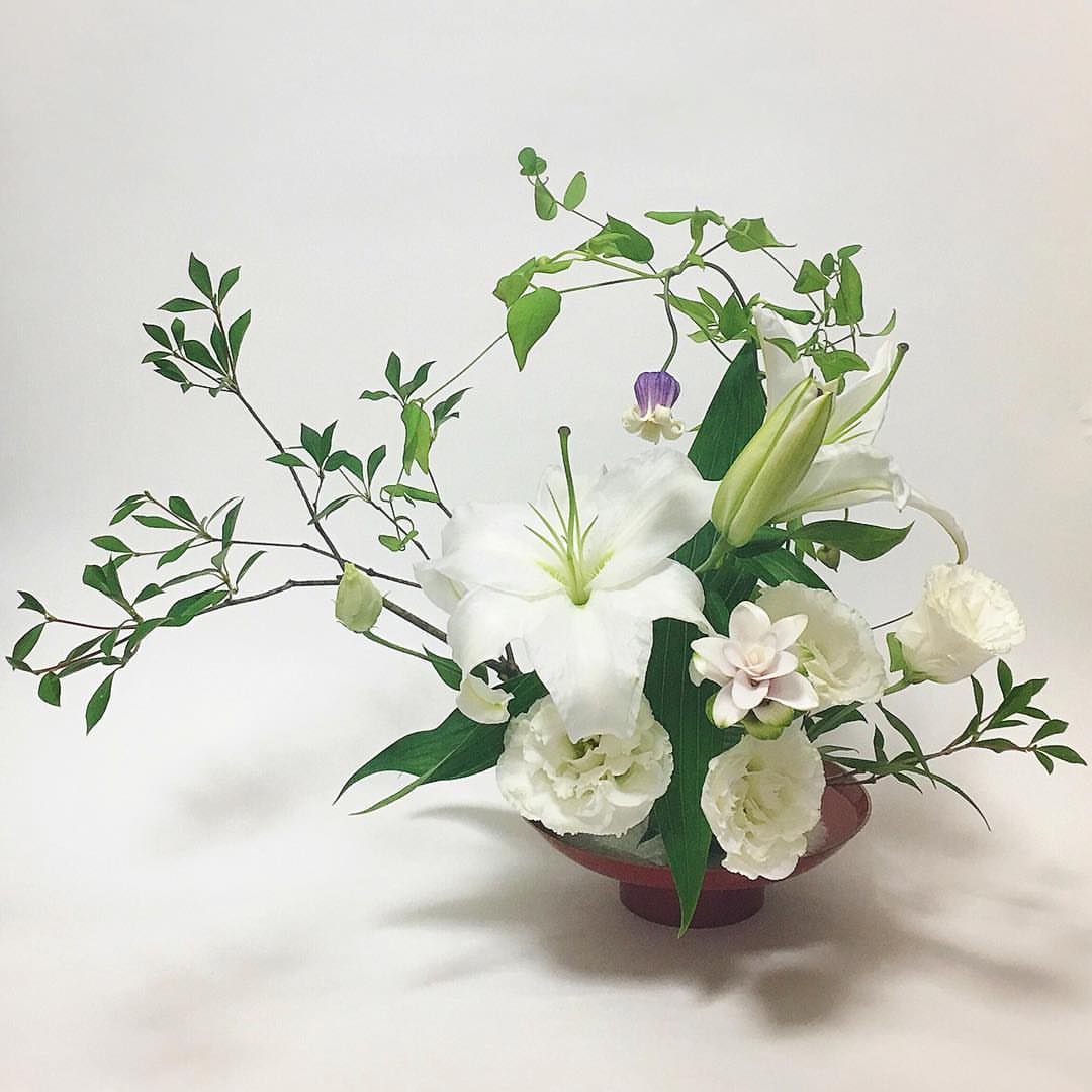 百合这样插花!撞色时尚,清新脱俗,反差萌拉满