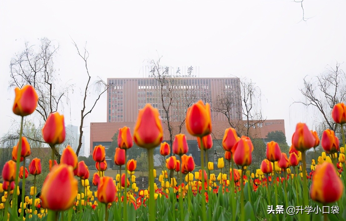 重庆科技学院信息门户（重庆科技学院即将迎来新发展）