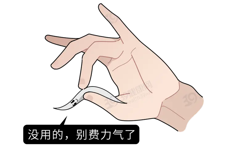 长出来的白发还能变黑吗（白头发怎么改善养出黑发）