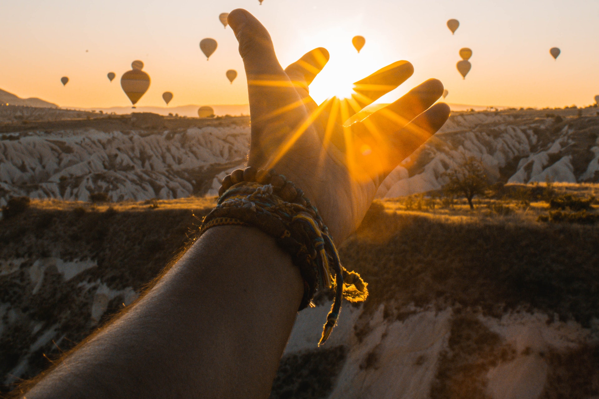 有一种深情,叫放开你的手