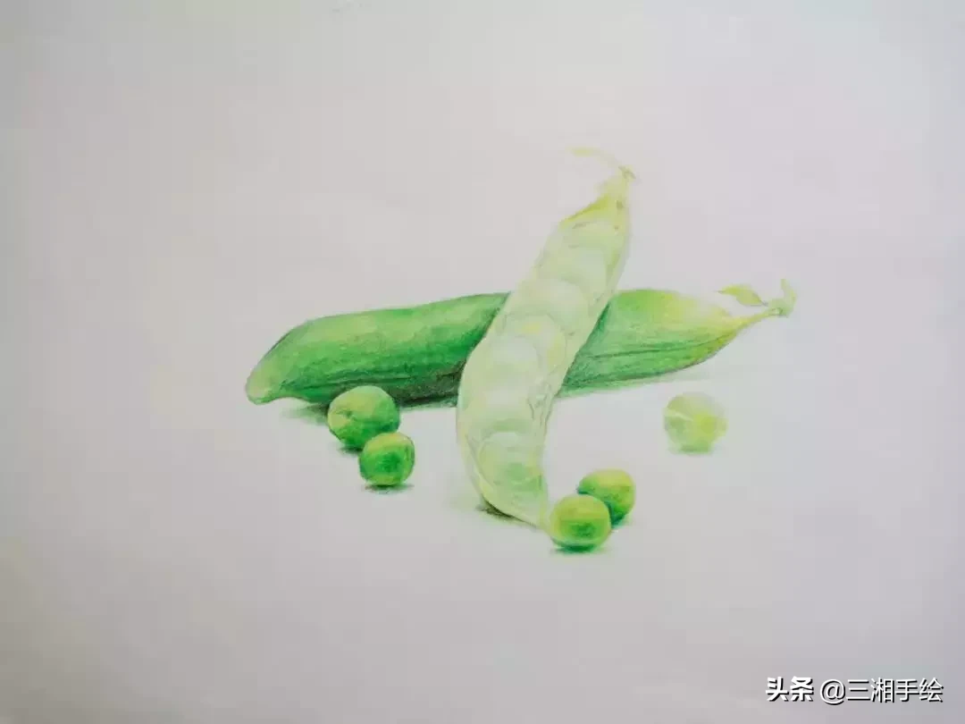 彩铅教程,豌豆荚画的淋漓尽致,零基础容易上手